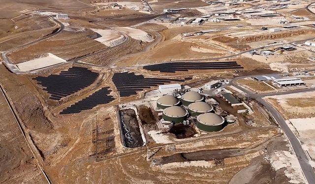 Şanlıurfa’da Hayvancılığa Dev Hamle: Türkiye’nin En Büyük Besi Üssü Güçleniyor