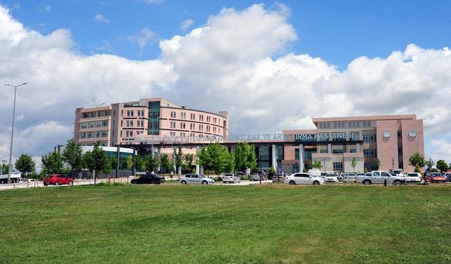 O İlin Ölüm Haritası Açıklandı: Kalp ve Damar Hastalıkları Alarm Veriyor