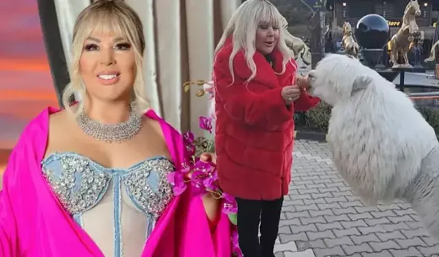 Alpaka Sürprizi! Safiye Soyman Çiftlikte Ne Yapacağını Şaşırdı