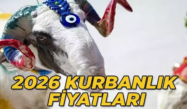 2026 Kurbanlık Piyasasında Fiyatlar Belirlendi: Büyükbaş ve Küçükbaş Kurbanlıklar Ne Kadar?