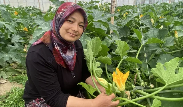Seradan Pazara, Pazardan İhracata: Nurcan Kazıkçı’nın İlham Veren Üretim Yolculuğu