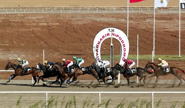 At Yarışı Tutkunlarının 2026 Listesinde Olmazsa Olmaz Online Kaynaklar