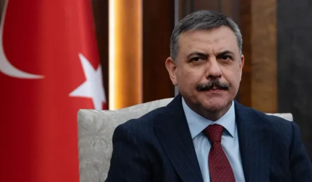 Sokak Köpeklerinde Yeni Dönem: Bakan Çiftçi'den Yılbaşı Hedefi