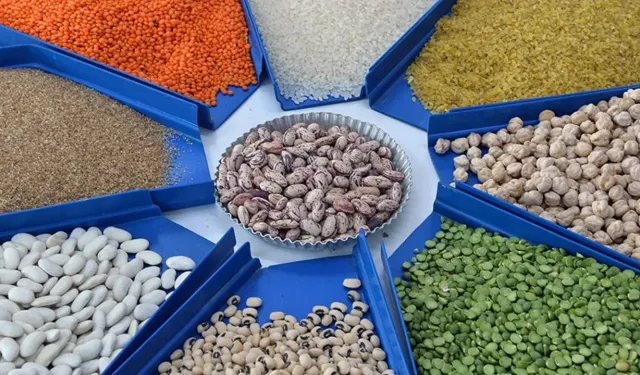 Bakliyatlarda Güve Sorununa Karşı Etkili Saklama Yöntemleri Açıklandı