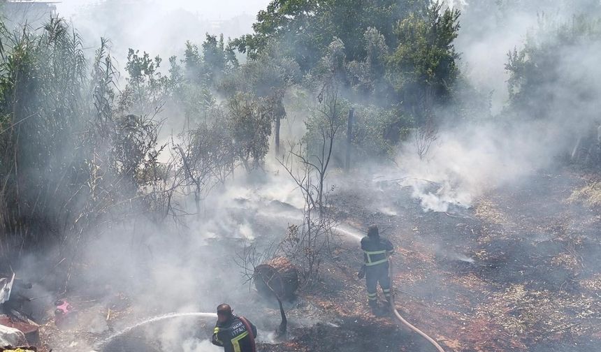 Bahçe yangını itfaiye ekipleri söndürdü