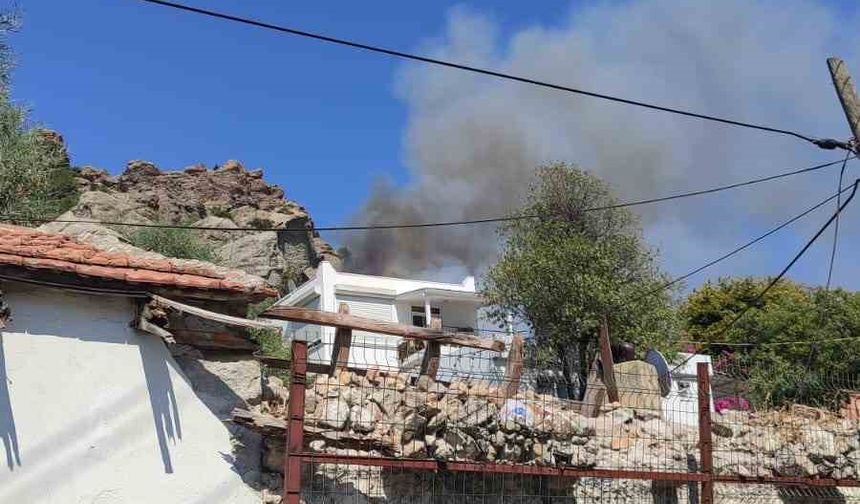 Bodrum’da makilik yangını