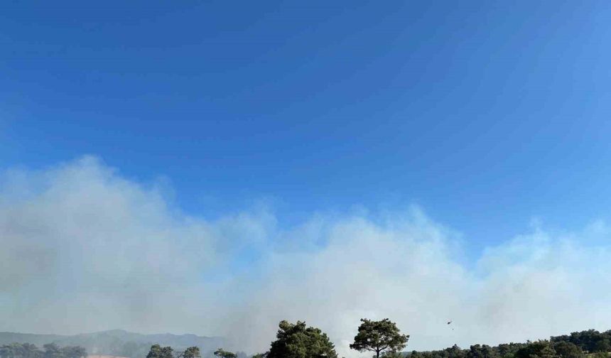 Çanakkale’de orman yangını: Havadan ve karadan müdahale ediliyor