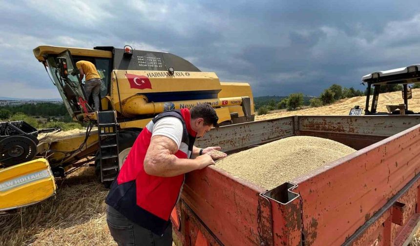 Gediz ve Emet ilçelerinde hasat dönemi denetimleri