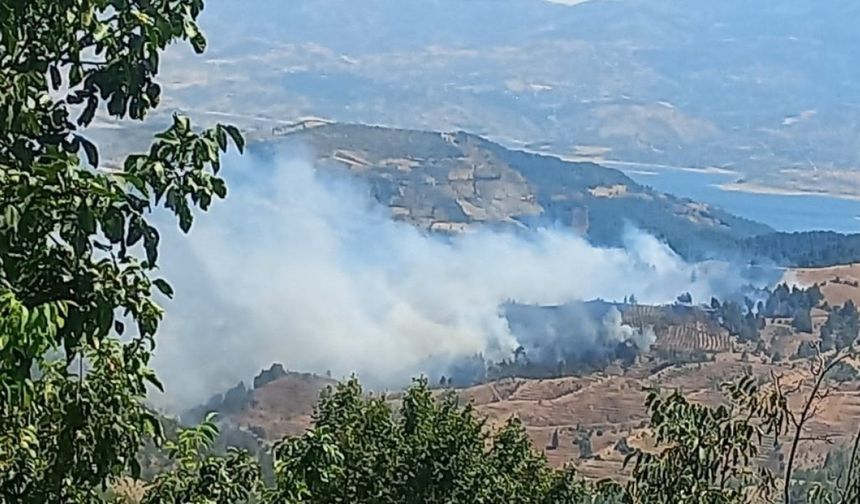 Kahramanmaraş’ta orman yangını