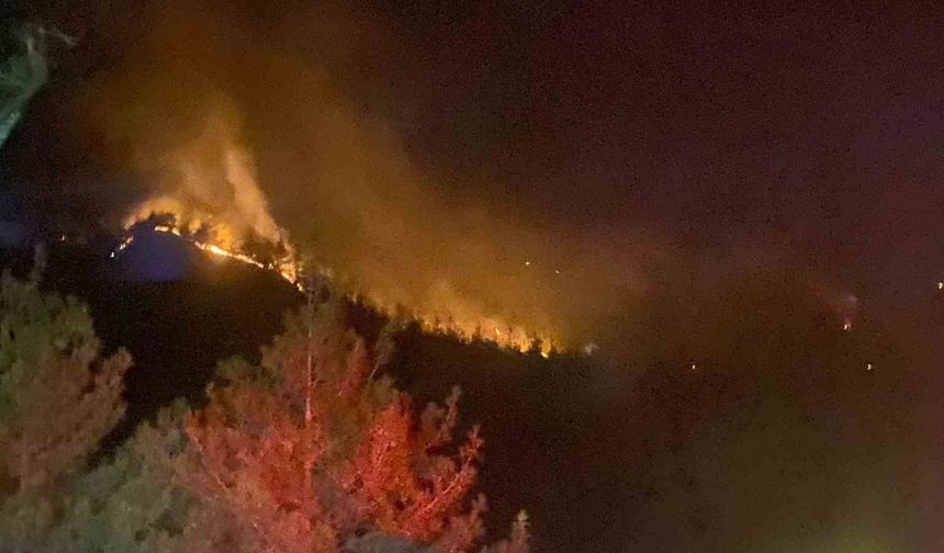 Kahramanmaraş’taki orman yangını 18 saat sonra kontrol altına alındı