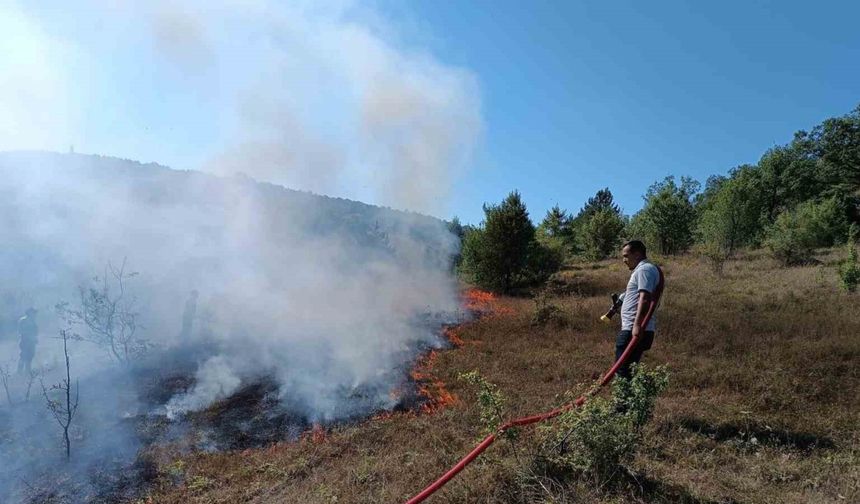 Mezarlıkta çıkan yangın ormana sıçramadan söndürüldü