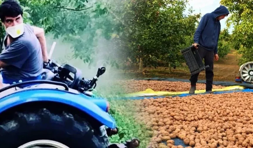 Ünlü Oyuncudan Doğaya Dönüş: Burak Hakkı’nın Ceviz Bahçesi İlk Hasadını Verdi