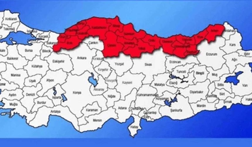 Kahverengi Kokarca Alarmı: Sessiz İstilacının Hedefinde Türkiye’nin Tarımı Var