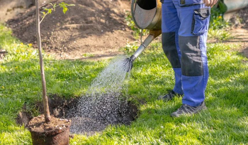 Kasım Toprağı Bereket Saçıyor: Meyve Fidanı Dikimi İçin En Uygun Zaman