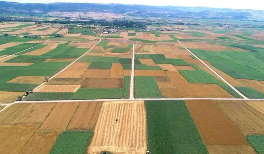 Toprağa Yatırım Yapan Kaybetti: Arsa ve Tarla Getirisi Hayal Kırıklığı Yarattı