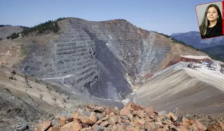 Sinop’ta Bakır Madeni Alarmı: Boyabat’ta Yüz Binlerce Ağaç İçin Kritik Süreç
