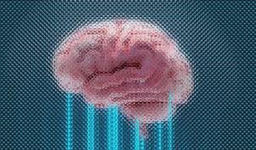 Beyni Koruyan Beslenme: Uzmanların Uzak Durduğu Gıdalar Listesi