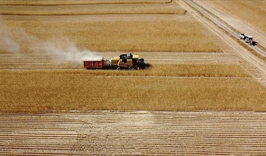 Tarımda Dev Destek: Milyarlarca Lira Çiftçinin Hesabına Aktarıldı