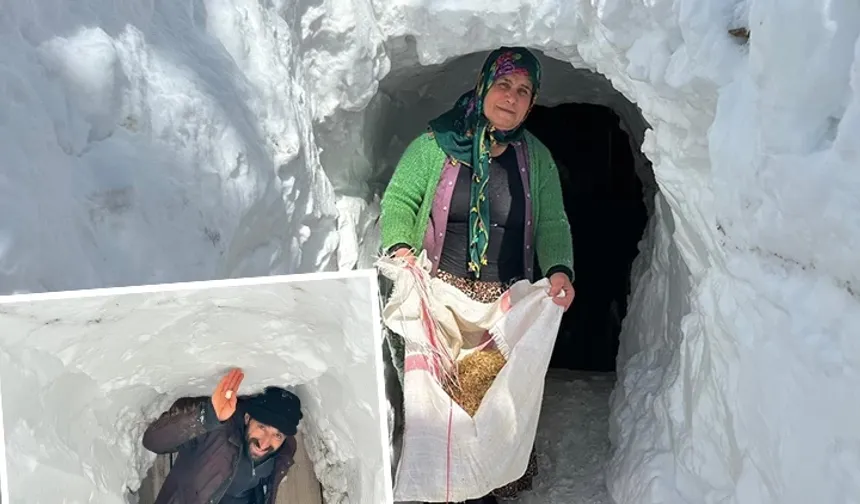 Çatak’ta Kışa Direnmenin Yolu: Kar Tünelleriyle Hayat Devam Ediyor