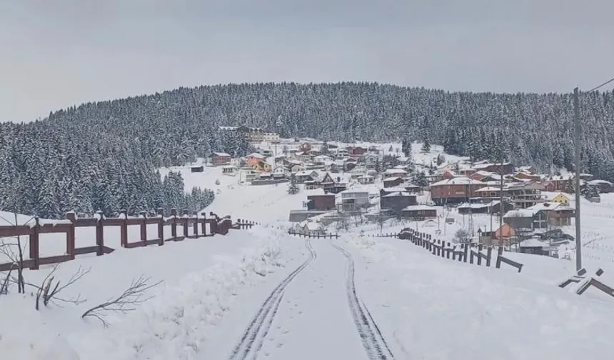 Türkiye’nin En Soğuk İlçesi: Hakkari Yüksekova’da Sıfırın Altında 32,7°C