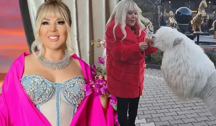 Alpaka Sürprizi! Safiye Soyman Çiftlikte Ne Yapacağını Şaşırdı