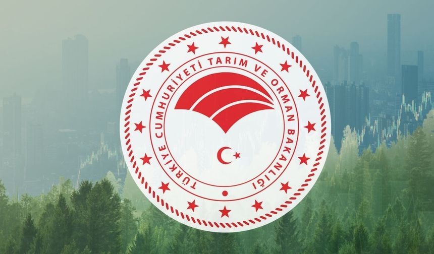 Tarım ve Orman Bakanlığı 1874 Personel Alımı İçin Geri Sayım Başladı! Başvuru Takvimi ve Kadro Dağılımı Belli Oldu