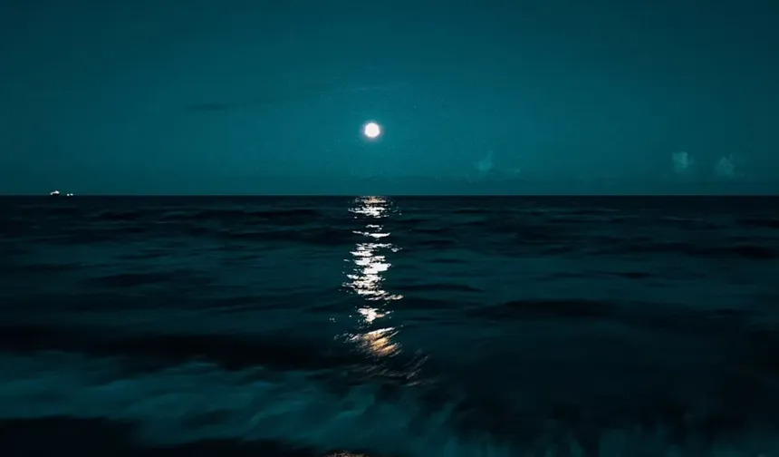 Sesin ve Anlamın Yarışı: Dünyanın En Güzel Kelimeleri Açıklandı, Türkçeden "Yakamoz" Listeye Girdi